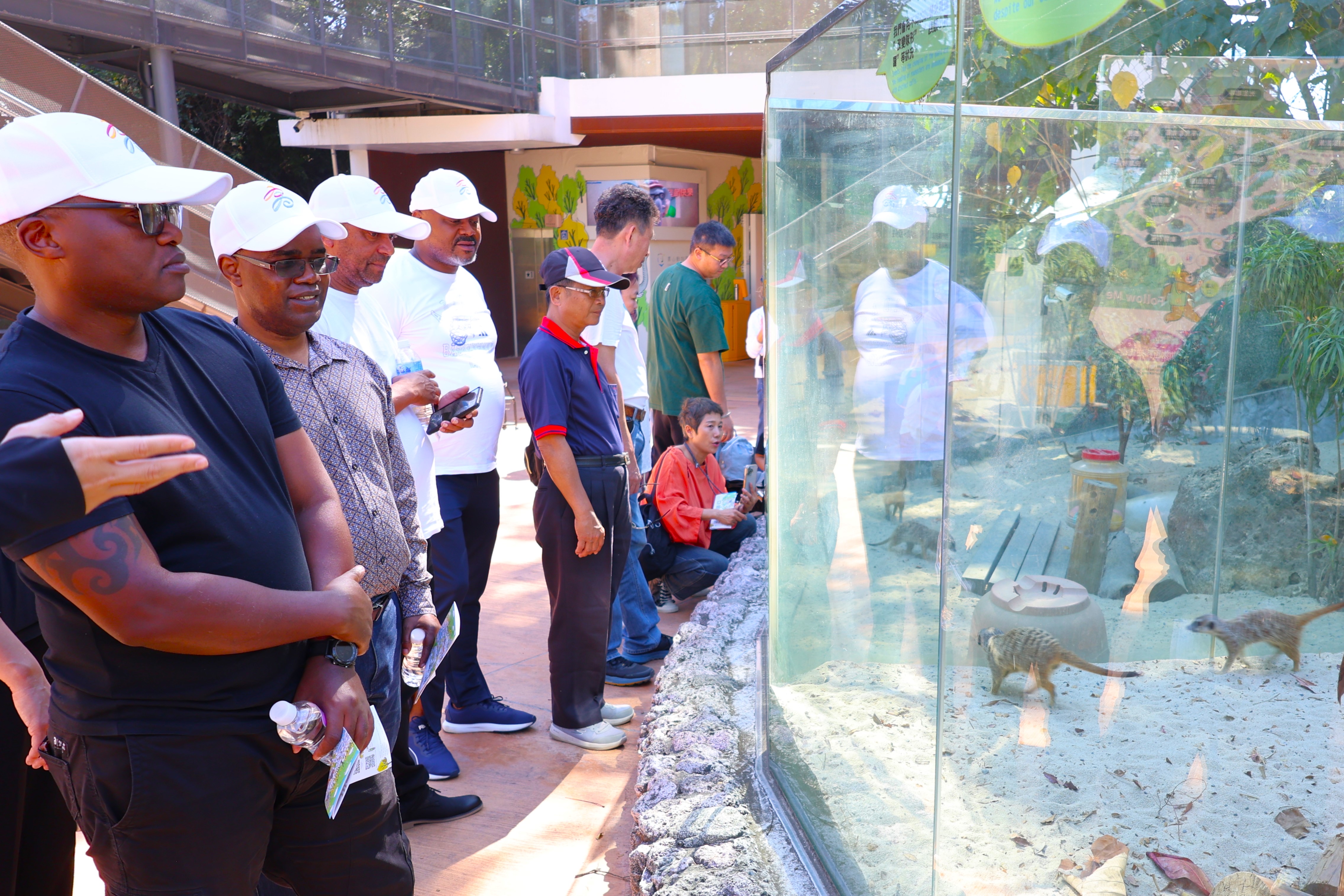 姆巴巴內市長Vusi Tembe訪團參訪壽山動物園，兩市探討共同推動動物保育交流